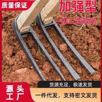 农用锄头全钢长把二齿锄头两用挖土开荒种菜开垦种地农具两齿耙子