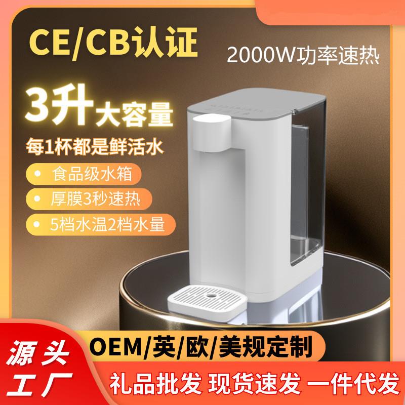 即热饮水机 家用智能加热饮水器 台式冲奶泡茶速热饮水机跨境