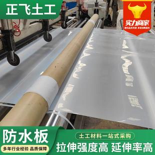 WDBe铁va隧道专用防水板HDP防渗程用防渗工膜涵洞地吊带复合E防水