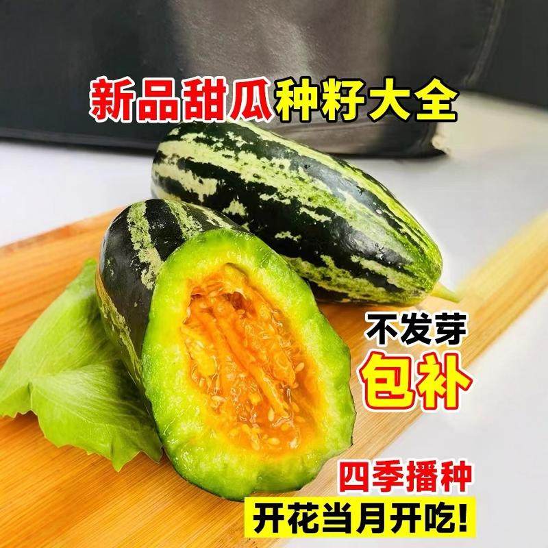 冰糖子甜瓜种籽大全羊角蜜种孑博洋脆香瓜玉菇阳台种植蔬菜种子苗