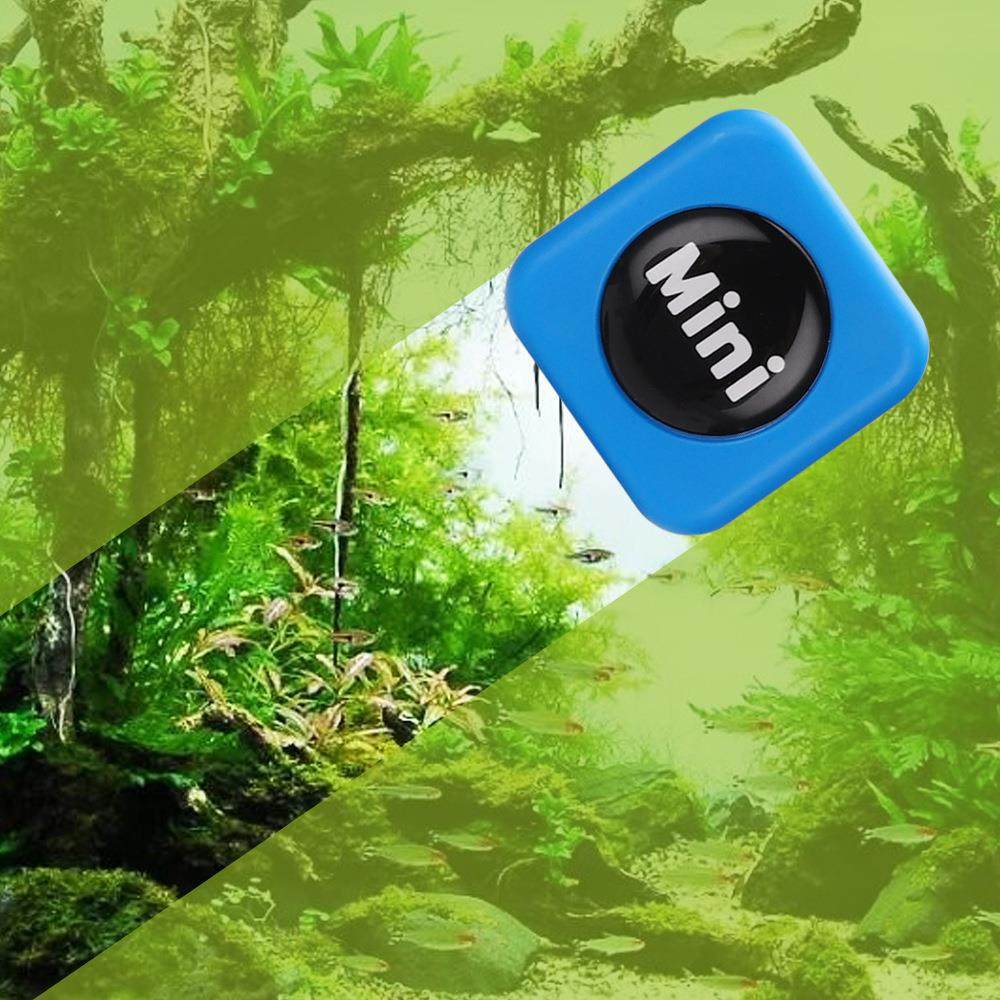小型缸C款你鱼缸迷磁力刷除藻玻鱼缸璃清洁工具鱼mini磁力刷玻璃,宠物/宠物食品及用品,鱼缸清洁用具,淘宝优惠券,粉丝福利购,淘宝优惠卷