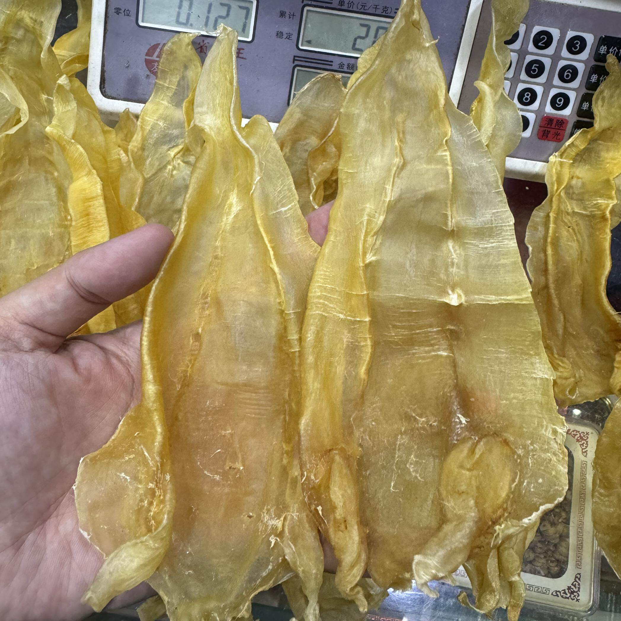 20头24头19头北海公尖尾柔肉深海孕妇滋补花胶苏里兰巴西委内老蜡