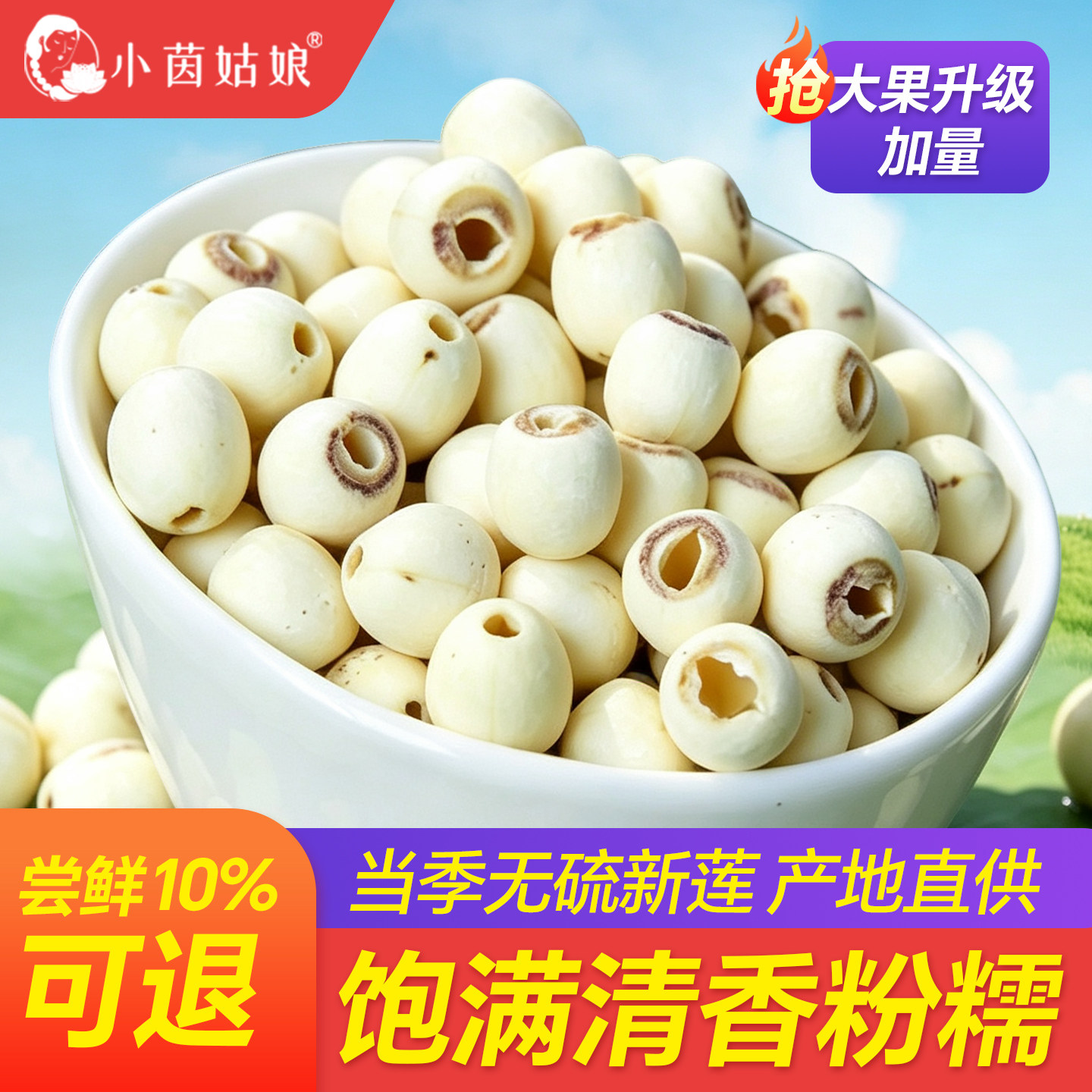 无熏硫去芯通芯白莲子520g产地供