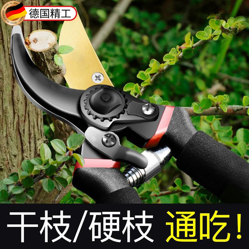 剪枝剪刀修剪粗大枝专用园艺工具图片