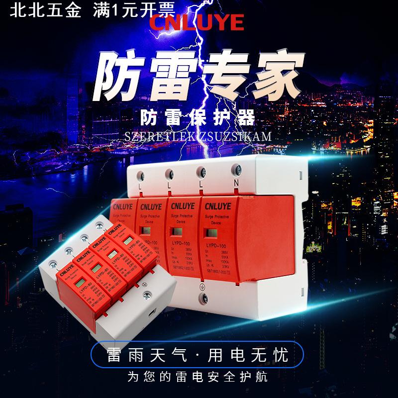 浪涌防雷保护器385VAC家用交流电涌开关2P4P带指示窗口光伏避雷器