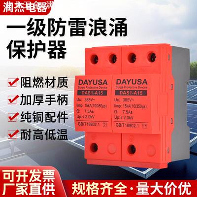 润杰一级浪涌保护器15ka25ka50ka避雷器t1电源保护器2P3P4P防雷器