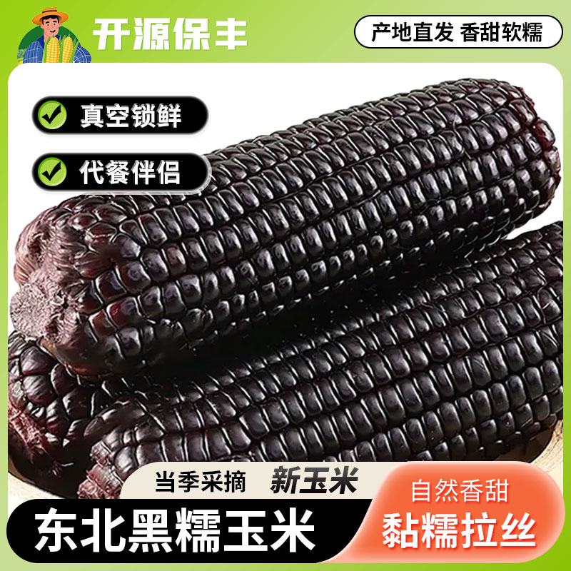 开源保丰黑糯玉米东北甜玉米真空包装新鲜采摘甜粘苞米低脂早餐