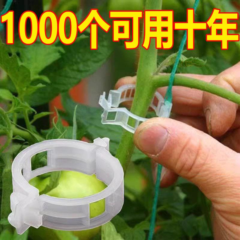 爬藤植物固定夹绿色卡扣蔬菜番茄花卉瓜果枝条藤蔓黄瓜绑枝固定器