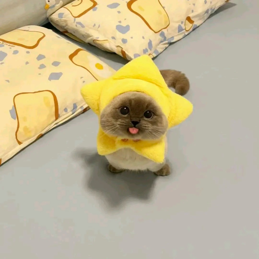 sm新品测试