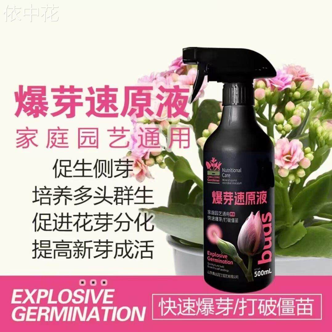 爆芽速原液多芽促芽催芽分化叶插花植物多肉绿植通用型,家居饰品,户外/庭院摆件,淘宝优惠券,粉丝福利购,淘宝优惠卷