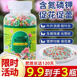 绿植物花卉通用型长效颗粒缓释肥多肉绿萝月季促花营养控释复合肥