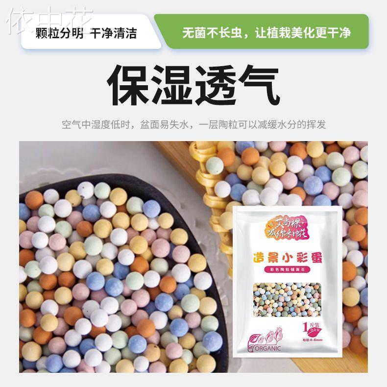彩色陶粒养花专用种植铺面石室内土培多肉水培盆栽透气造景小彩蛋