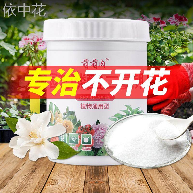 园艺硫酸亚铁易吸收花草黄叶病通用型补铁叶面肥绿植龟家庭花肥料,家居饰品,户外/庭院摆件,淘宝优惠券,粉丝福利购,淘宝优惠卷