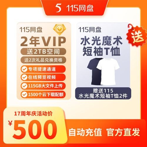 115网盘 2年会员含2TB空间【赠小白T恤2件】专享会员提速通道