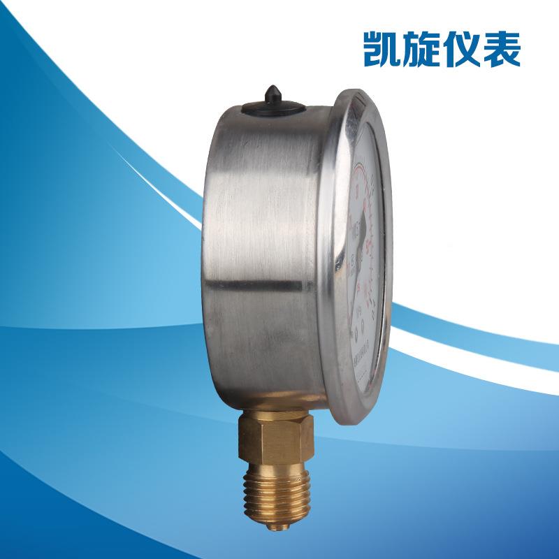 厂压家大表量供应各种力 耐6震压YN60系列力表YN0