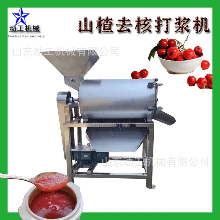 商番茄去皮去用籽打浆机 道芒果八机月瓜双打浆 南酸枣去LEK核打
