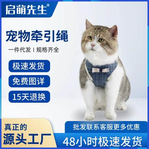 猫咪牵引绳小猫遛猫绳幼猫防挣脱猫链子宠物舒适材质背心式胸背带