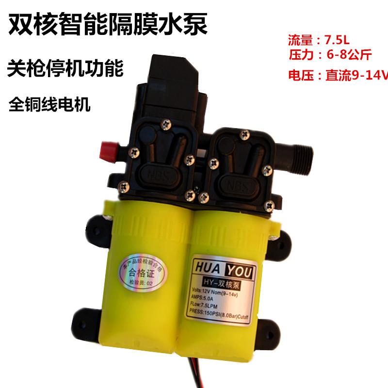 电动喷雾器配件水泵隔膜泵双核智能泵关枪停机功能洗车降温增压泵