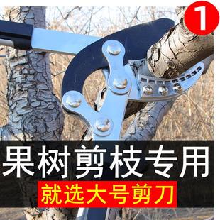 园林修枝剪树枝专用剪刀果树粗枝剪大剪刀园艺修枝修剪树枝剪刀