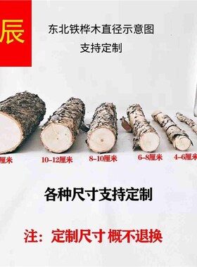 铁桦木铁桦树桦木原木铁桦原木装饰树隔断橱窗隔断湿木料