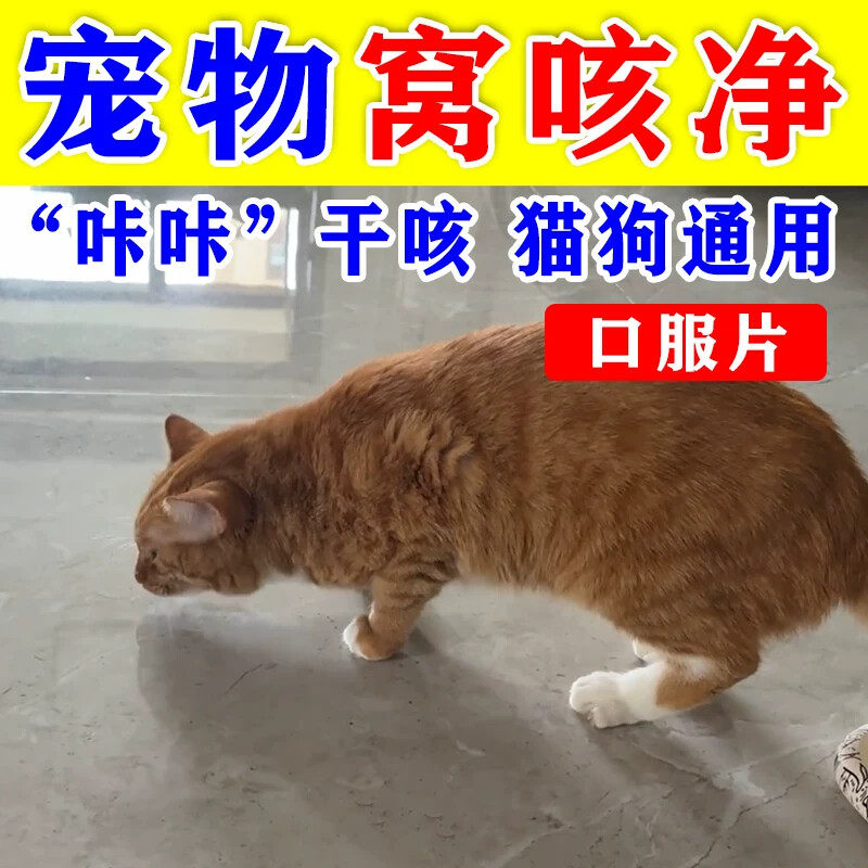 窝咳净升级版小猫咪干咳呕打喷嚏一抽一抽专用口服片猫犬窝咳通用