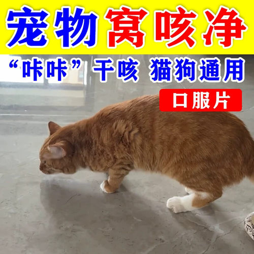 窝咳净升级版小猫咪干咳呕打喷嚏一抽一抽专用口服片猫犬窝咳通用