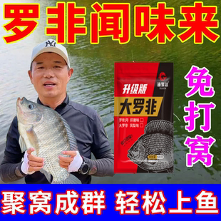 速聚达两广大罗非凤梨味主攻罗非1号肝腥味可散可搓狂钓罗非饵料