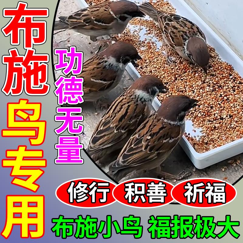 布施鸟食五色黍子喂麻雀斑鸠喜鹊鸟粮户外阳台投喂专用五谷带壳粮图片