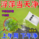 浮萍清除剂鱼塘水草浮萍一扫光三天池塘清除青苔水花生芦苇烂根剂