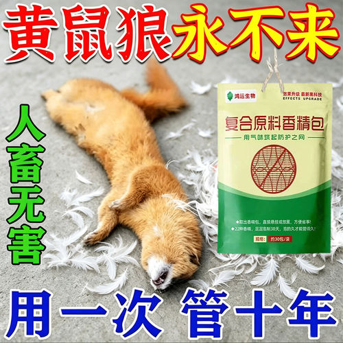 驱黄鼠狼专用药养鸡防黄鼠狼神器养殖场强力气味驱赶吓克黄鼠狼星