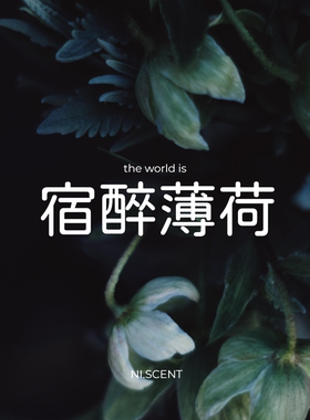 NI.SCENT 宿醉 持久清凉醒脑提神办公车载 天然薄荷精油 驱蚊香包