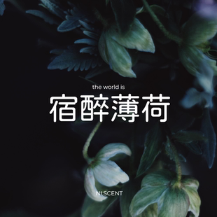 NI.SCENT 宿醉 持久清凉醒脑提神办公车载 天然薄荷精油 驱蚊香包