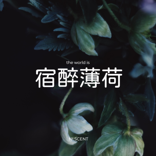 NI.原创宿醉薄荷天然植物精油