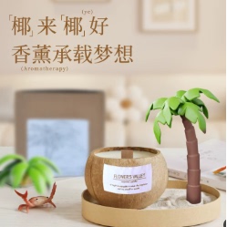 椰子壳香薰蜡烛手工家用熏香卧室创意摆件香氛大豆蜡伴手礼盒