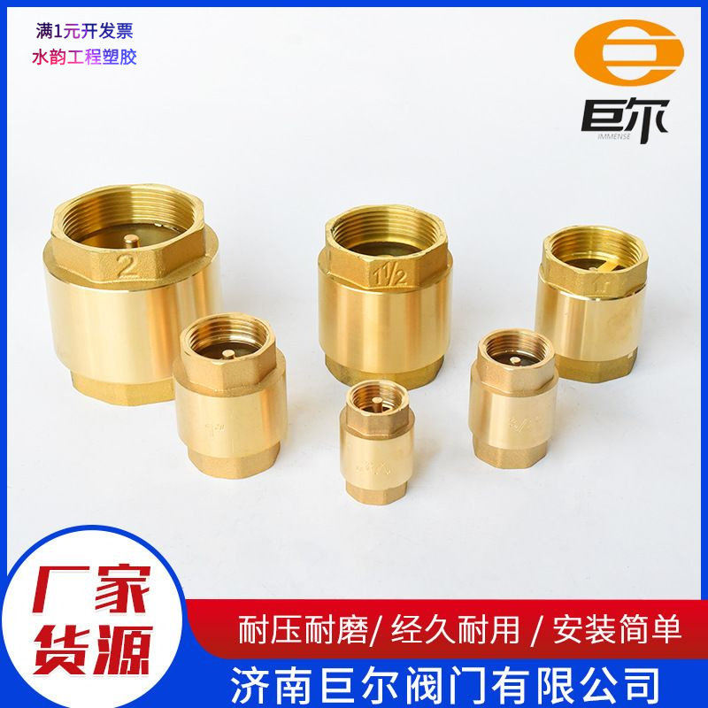 巨尔黄铜立式止回阀自来水管道直