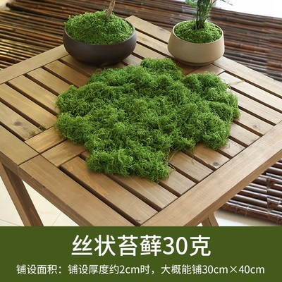 现货仿真苔藓草皮仿生人造假青苔微景观布置摆件草坪盆景盆栽铺面