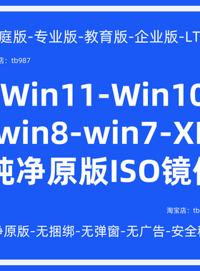 win11/10/7/8系统下载纯净专业原版ISO镜像文件安装电脑远程重装
