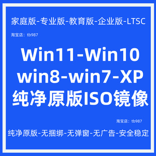 电脑远程重装 ISO镜像文件安装 8系统下载纯净专业原版 win11