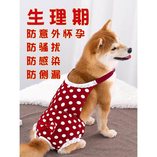 狗狗生理裤母狗女狗姨妈裤安全裤卫生裤经期防骚扰柴犬泰迪防交配
