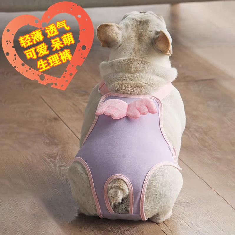 中小型犬狗狗法斗巴哥英牛柯基泰迪例假月经连体背带式防脱生理裤