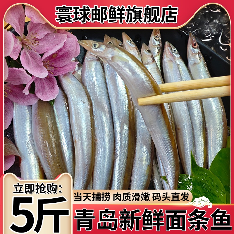 寰球邮鲜无冰新鲜冷冻青岛面条鱼