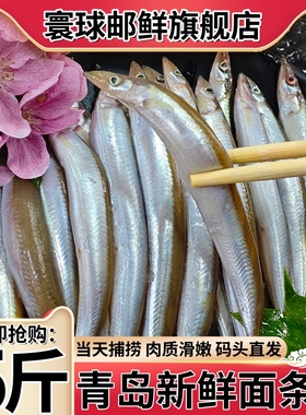 青岛面条鱼新鲜无冰冷冻小银鱼沙丁鱼海鱼新鲜速冻泥鳅鱼小青鱼