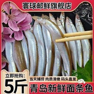 青岛面条鱼新鲜无冰冷冻小银鱼沙丁鱼海鱼新鲜速冻泥鳅鱼小青鱼
