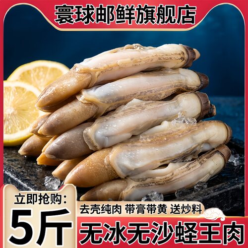 5斤大个熟冻去壳蛏王肉海鲜水产