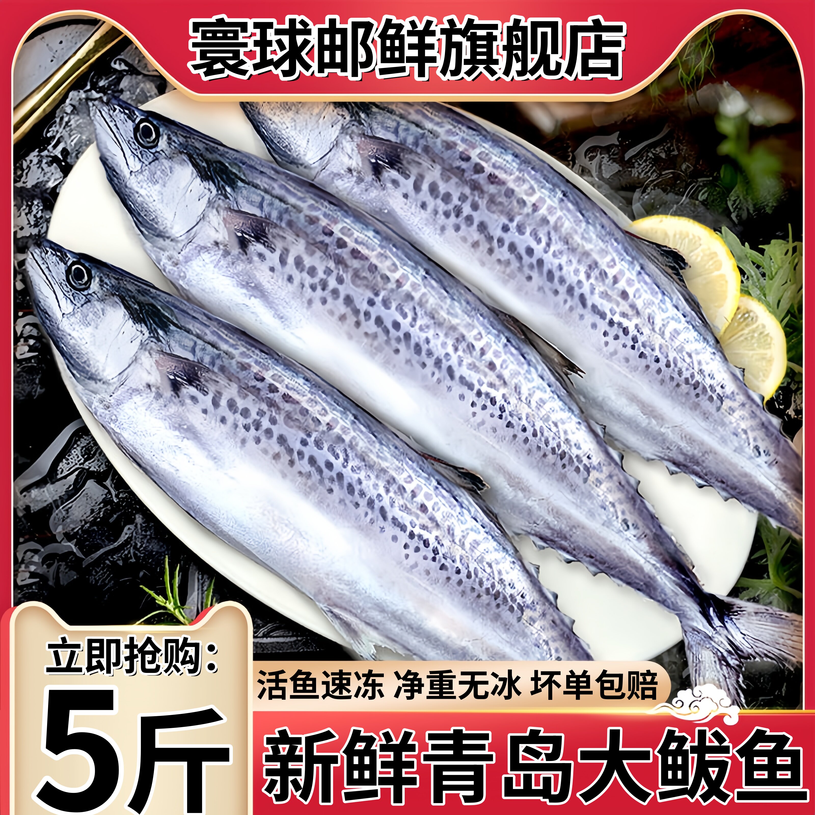 寰球邮鲜马鲛鱼新鲜冷冻特大鲅鱼