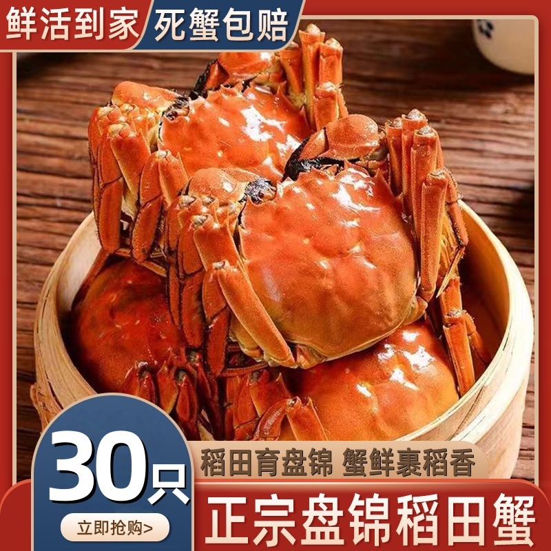盘锦稻田河蟹鲜活大闸蟹礼盒装