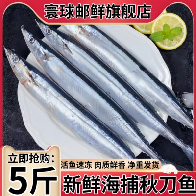 新鲜冷冻特大深海秋刀鱼5斤装