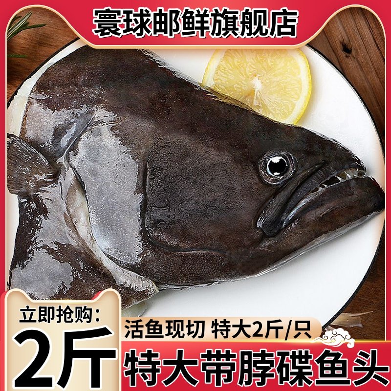 鲽鱼头新鲜冷冻鲽鱼头特大鸦片鱼头深海新鲜比目鱼商用批发蝶鱼头