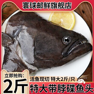 鲽鱼头新鲜冷冻鲽鱼头特大鸦片鱼头深海新鲜比目鱼商用批发蝶鱼头