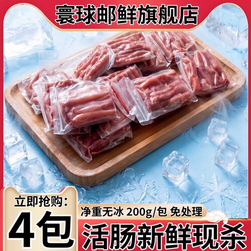 4包海肠沙虫鲜活速冻免处理商用